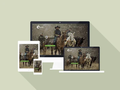 Asinii Transilvaniei – Website cu rezervari si magazin online