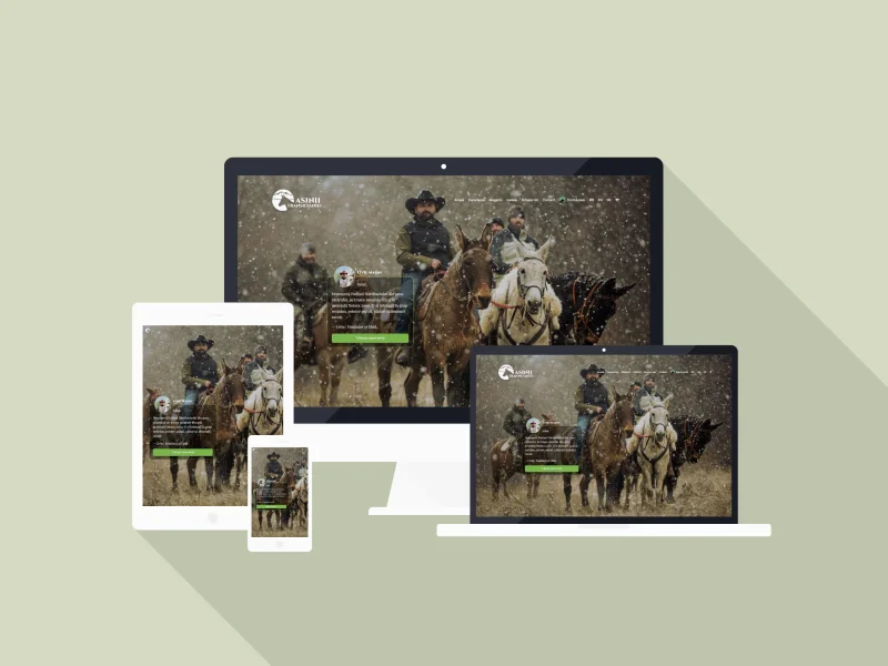 Asinii Transilvaniei – Website cu rezervari si magazin online