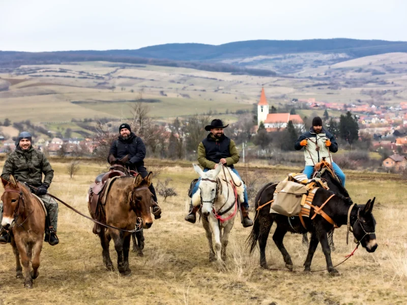 Asinii Transilvaniei – Călare pe catâr prin natură sălbatică a Transilvaniei
