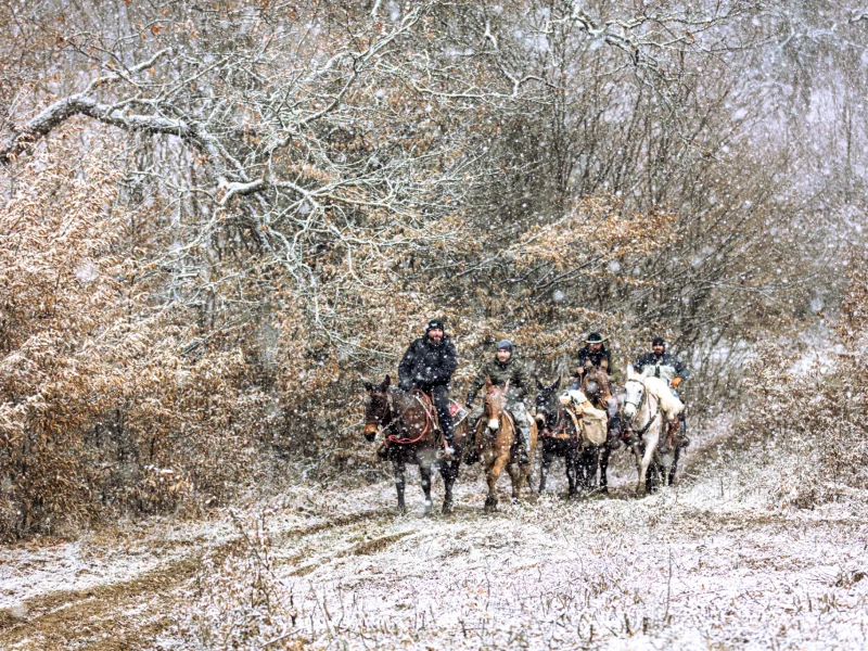 Asinii Transilvaniei – Călare pe catâr prin natură sălbatică a Transilvaniei