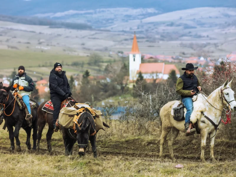 Asinii Transilvaniei – Călare pe catâr prin natură sălbatică a Transilvaniei